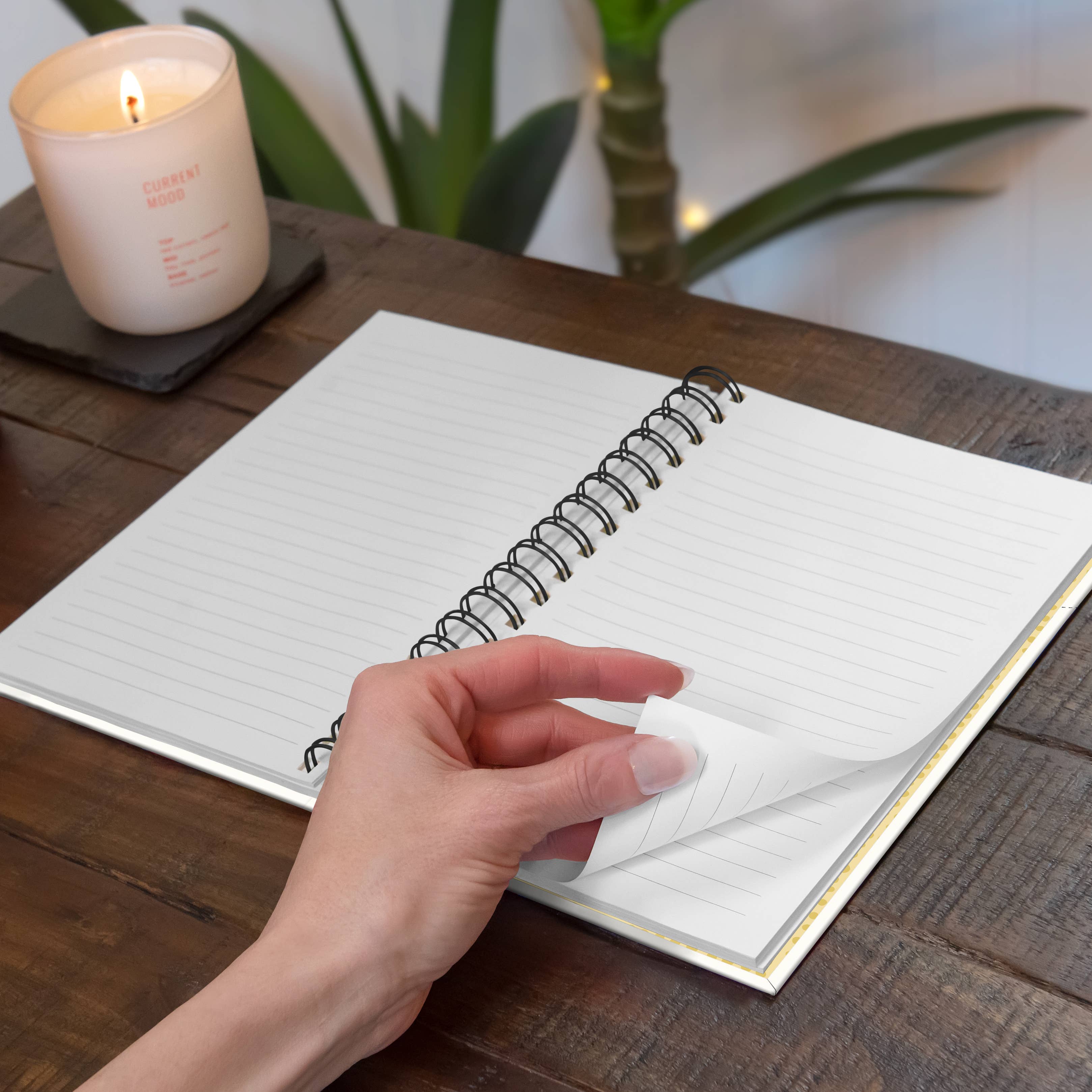 Studio Oh! - Spiral Notebook Don't Worry Bee Happy