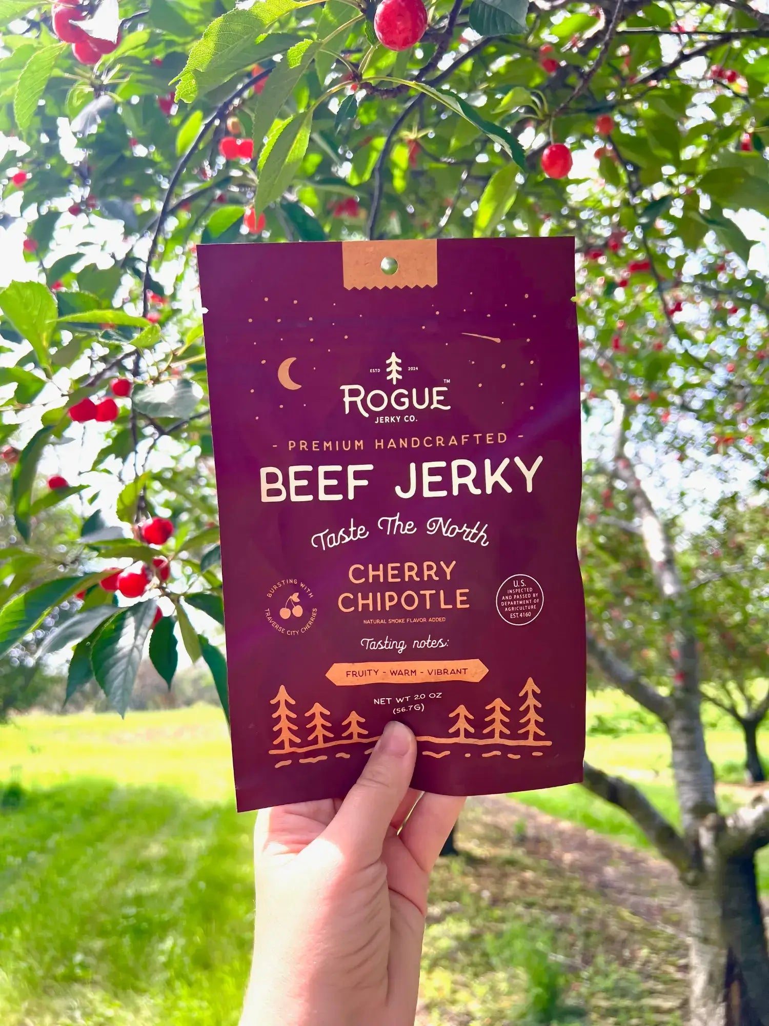Rogue Jerky Co. - Rogue Jerky Starter Pack - 4 Of Each Flavor - Premium Jerky