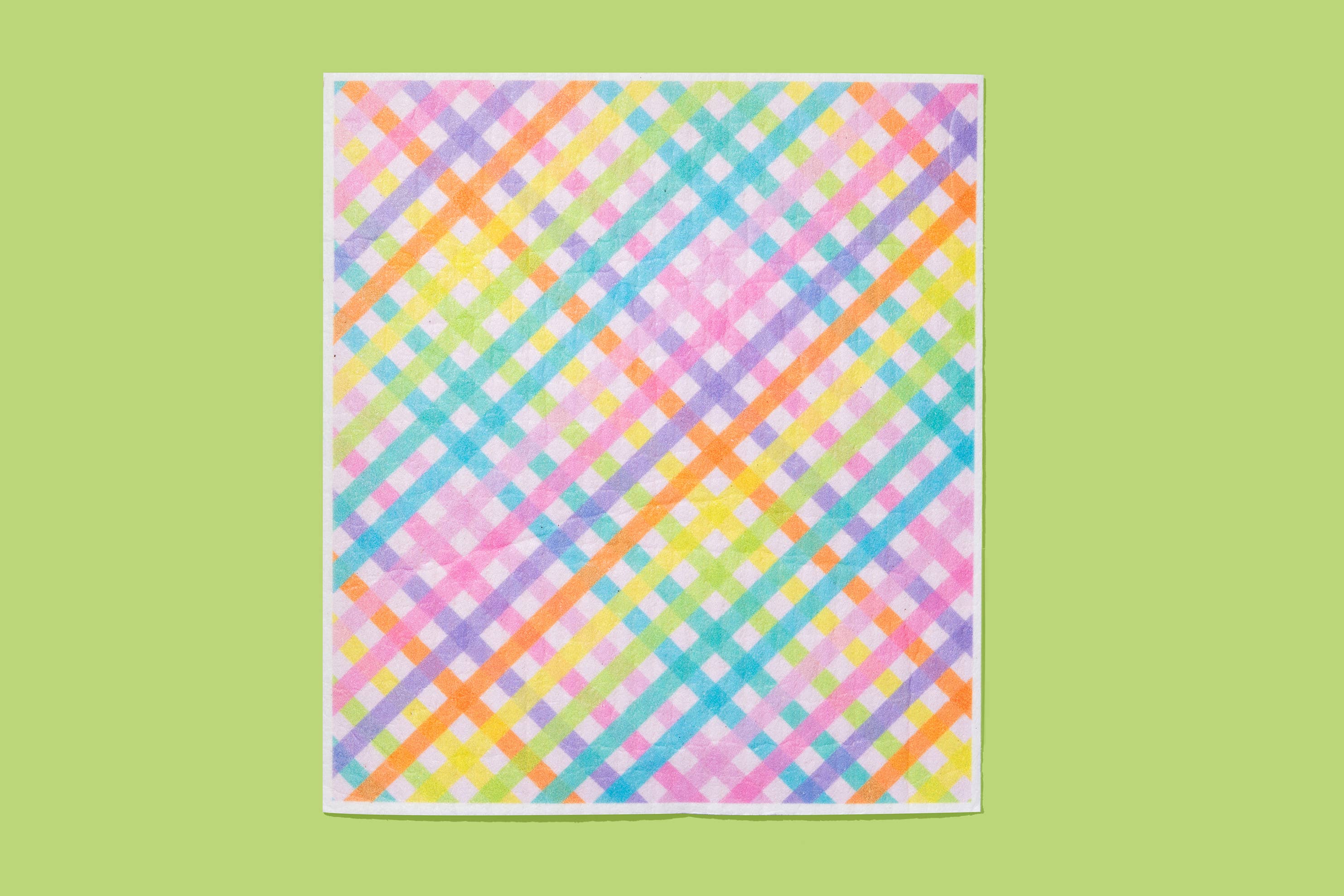 Taylor Elliott Designs - Biodegradable Dish Cloth - Colorful Gingham