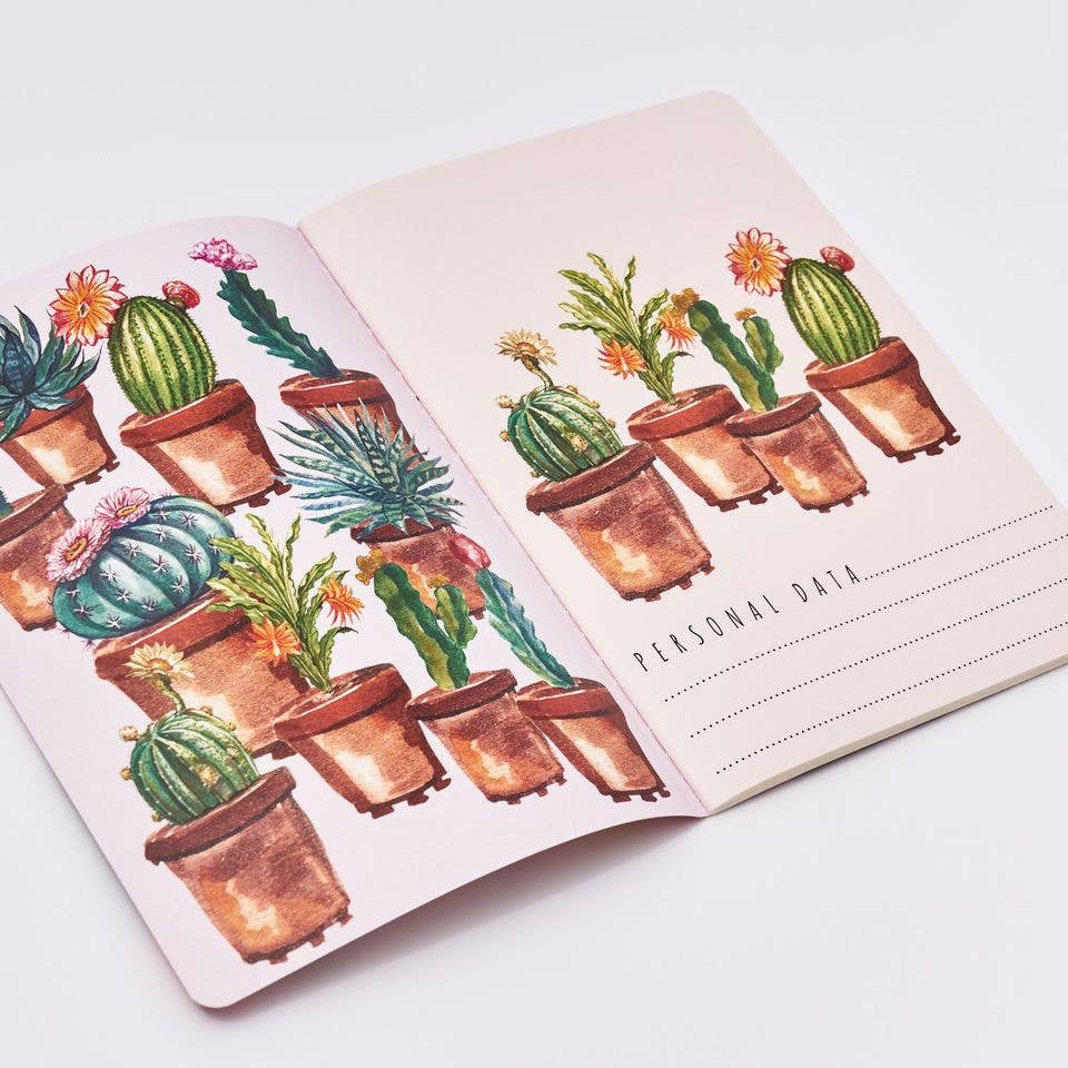 BV by Bruno Visconti - Cactus  on Rose Notebook
