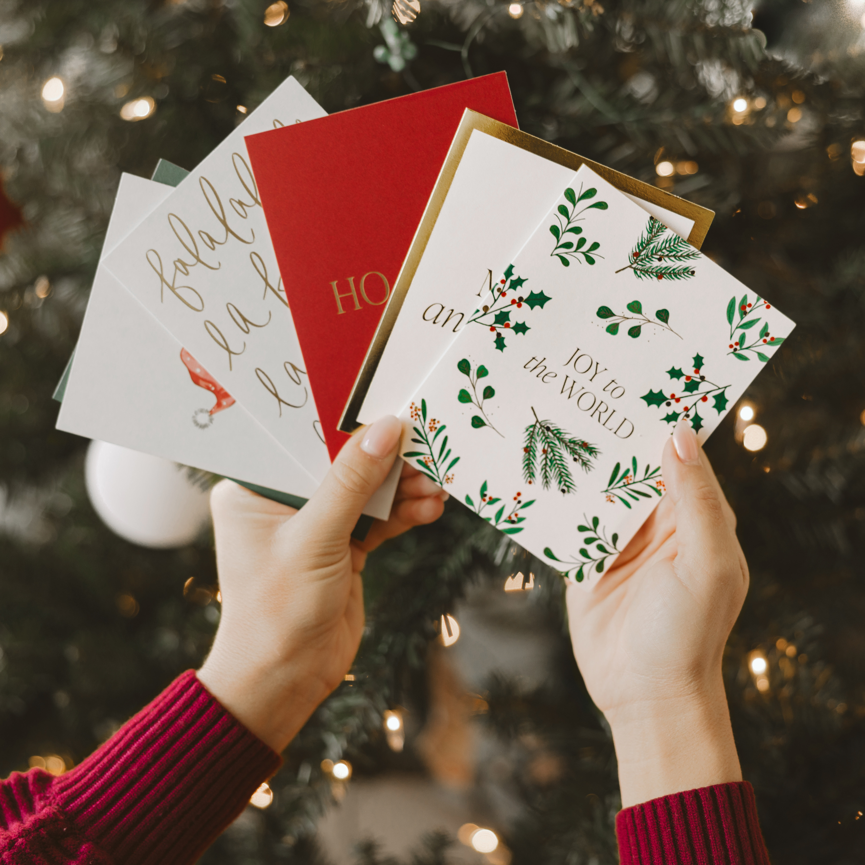 Sweet Water Decor - Assorted Holiday Cards Boxed Set - Christmas Cards