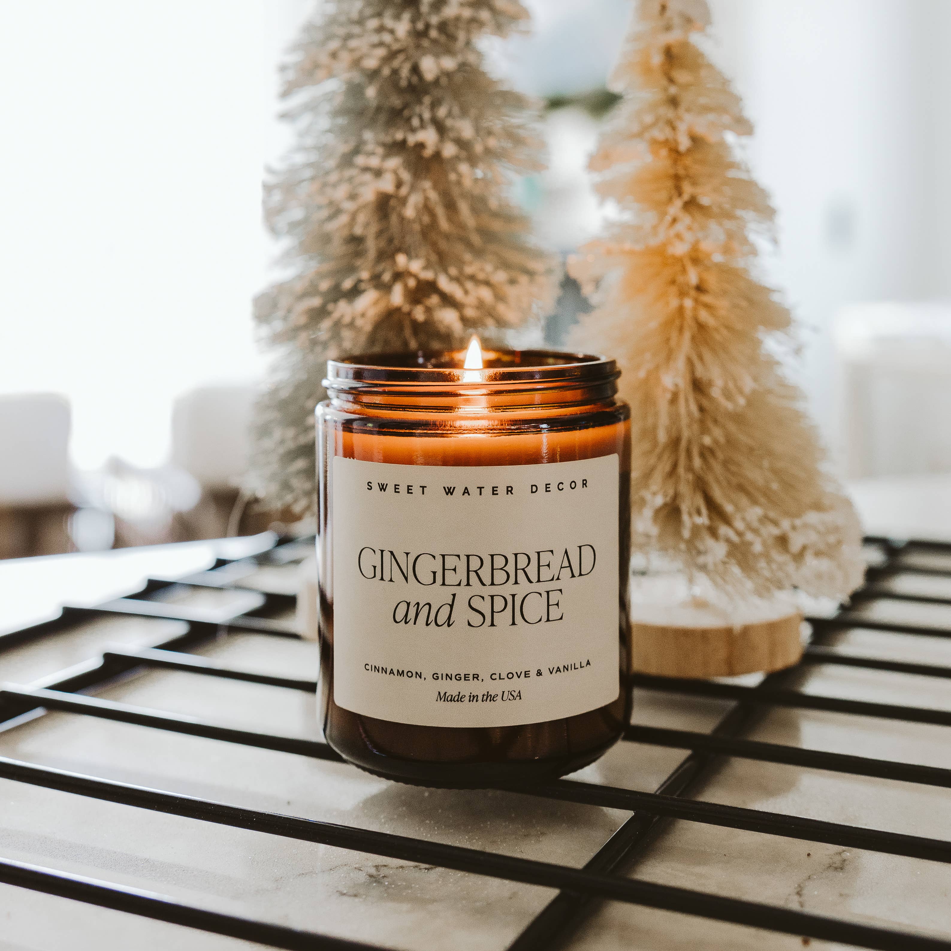 Sweet Water Decor - Gingerbread and Spice 9 oz Soy Candle- Christmas Decor