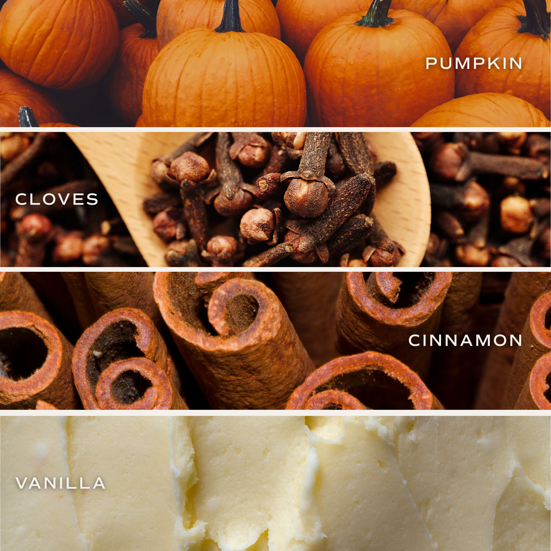 Sweet Water Decor - Pumpkin Spice 9 oz Soy Candle - Fall Decor and Gifts