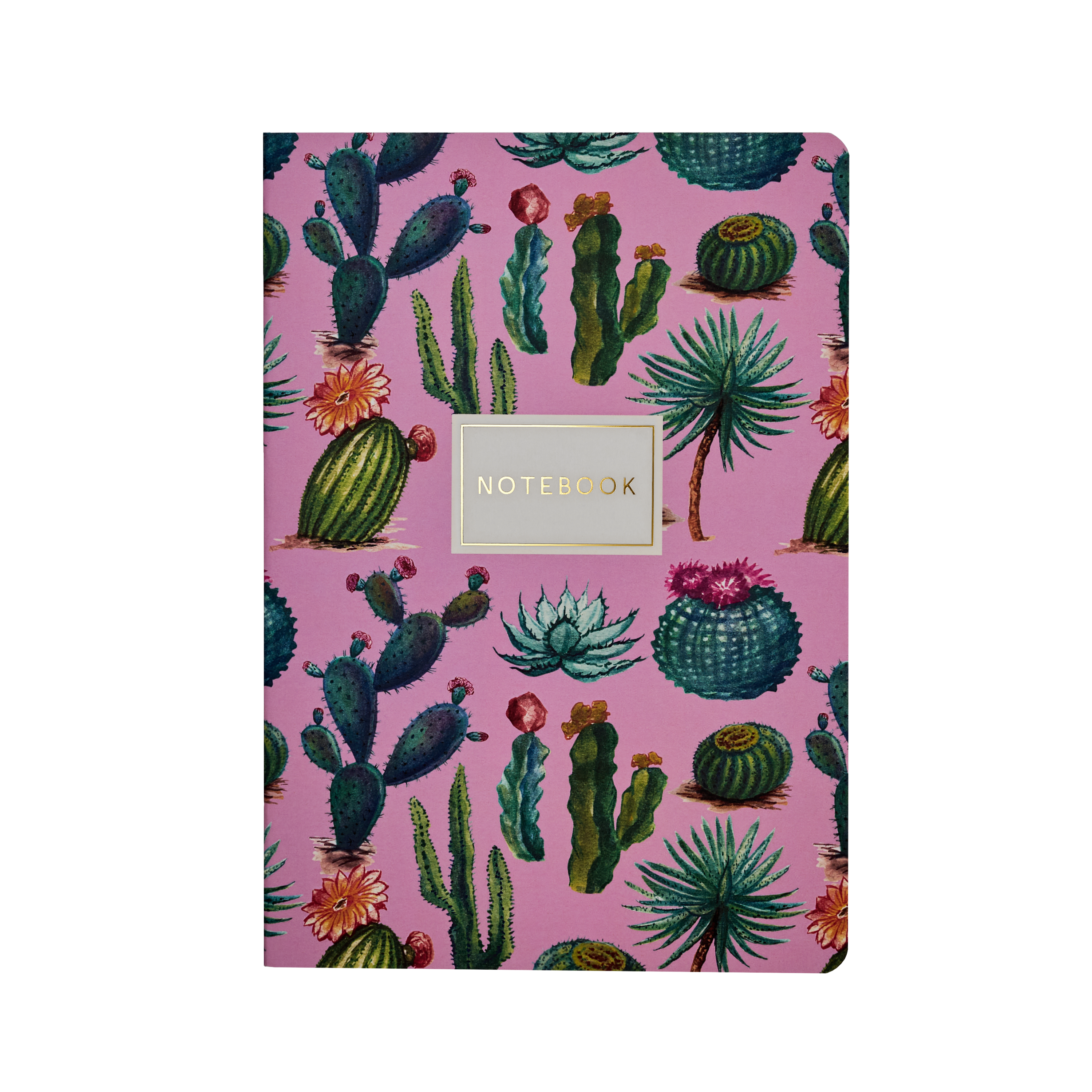 BV by Bruno Visconti - Cactus  on Rose Notebook